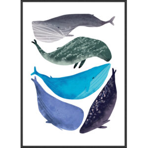 CETACEA II PLAKAT - Nicehome.dk