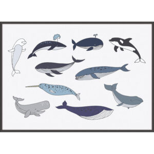 CETACEA III PLAKAT - Nicehome.dk