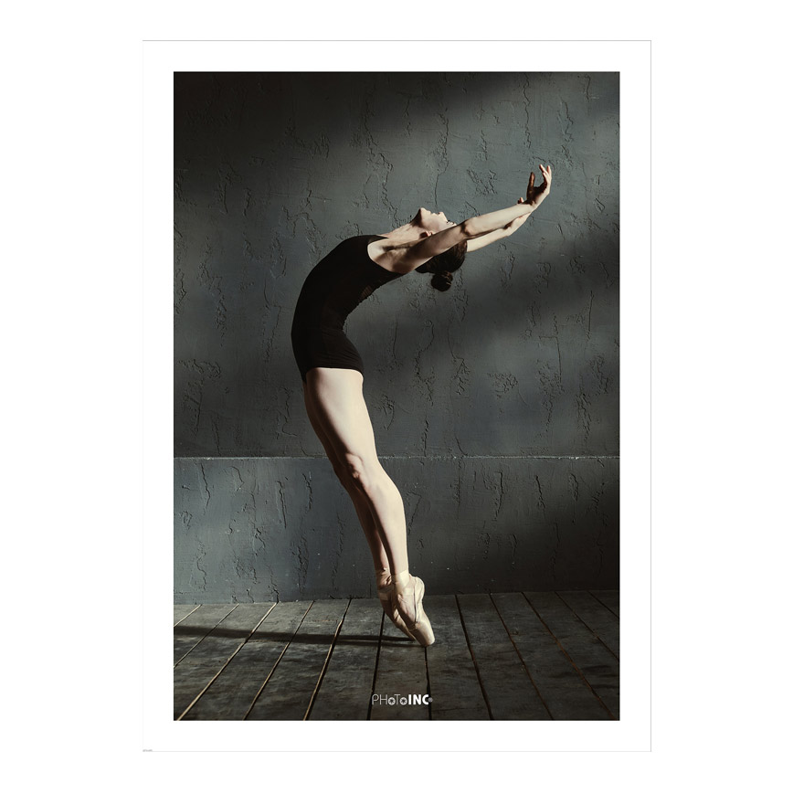 SOLO DANCER 50X70 CM - Nicehome.dk
