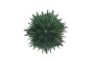VENTURE DESIGN Sälen loftlampe - grøn papir (60cm) - Nicehome.dk