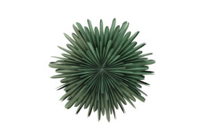 VENTURE DESIGN Sälen loftlampe - grøn papir (80cm) - Nicehome.dk
